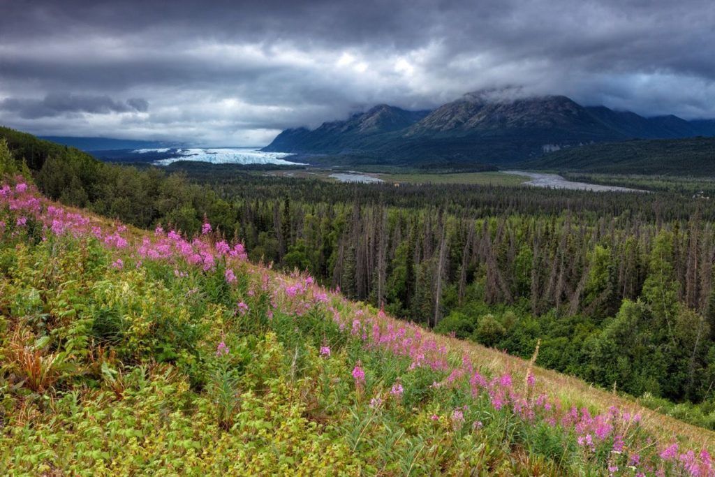 viaje fotografico Alaska