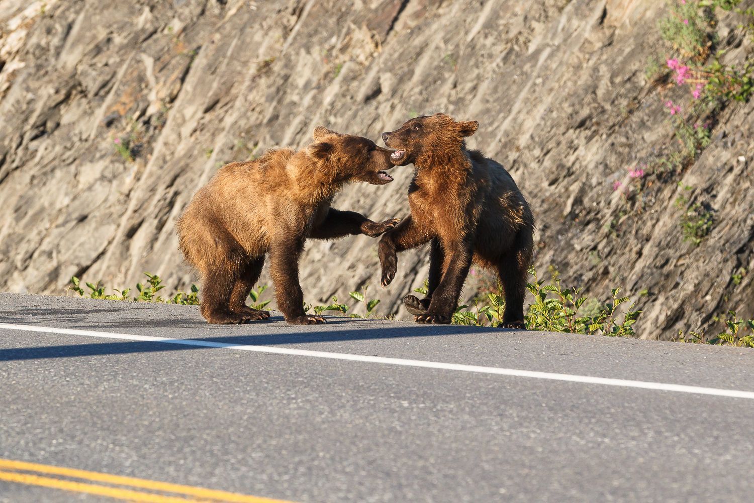 viaje fotografico Alaska