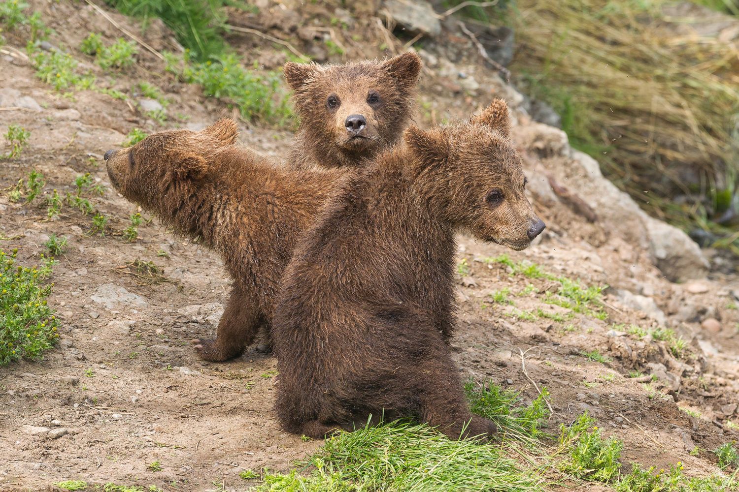 viaje fotografico alaska