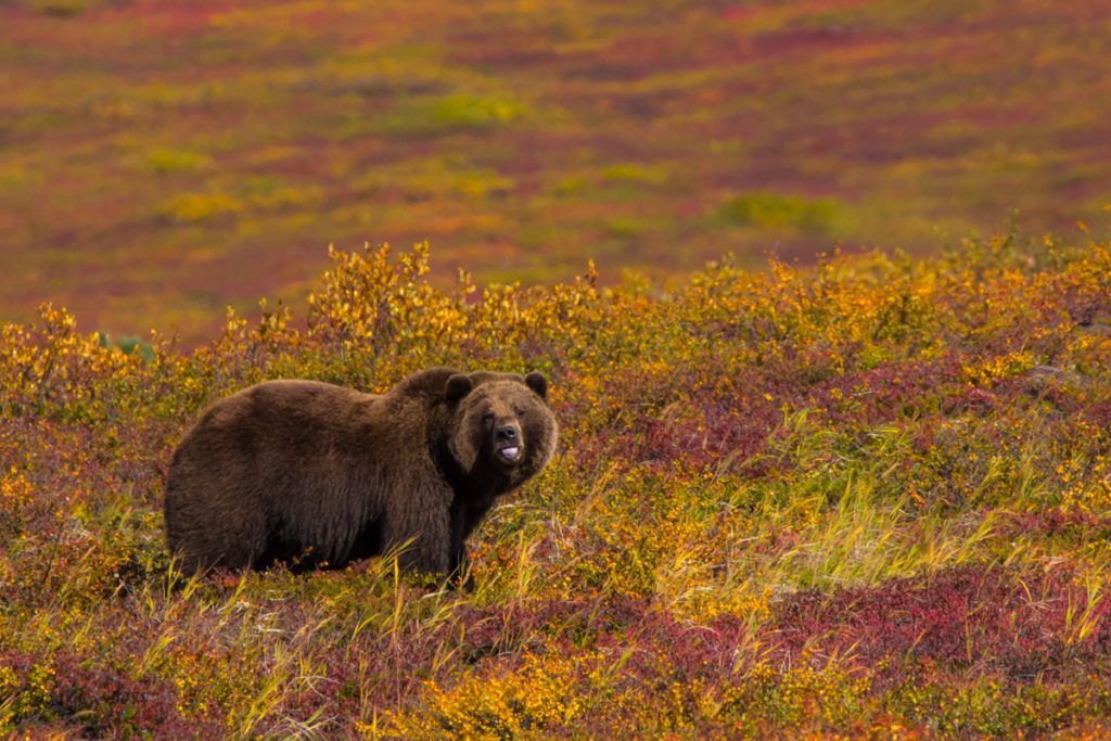 viaje fotografico kamchatka
