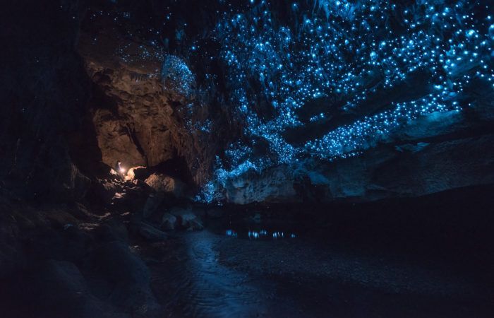 viaje fotográfico Nueva Zelanda