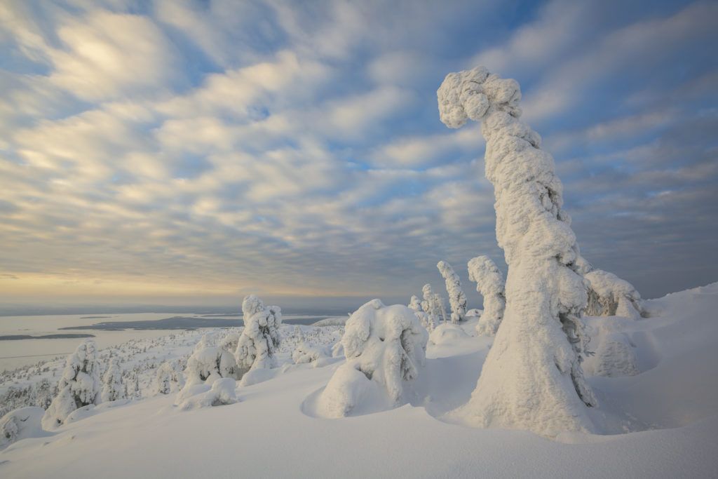 viaje fotografico peninsula de kola laponia rusa