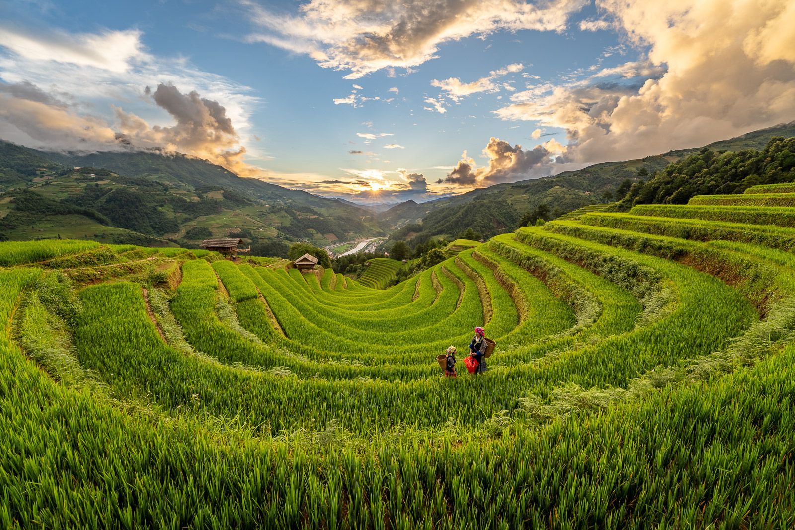 Campos de arroz en terrazas de Mu Cang Chai al atardecer en Vietnam | Viaje Fotográfico Vietnam | viajesfotograficos.com