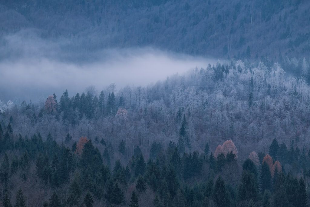 viaje fotográfico eslovenia