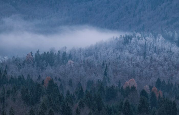 viaje fotográfico eslovenia